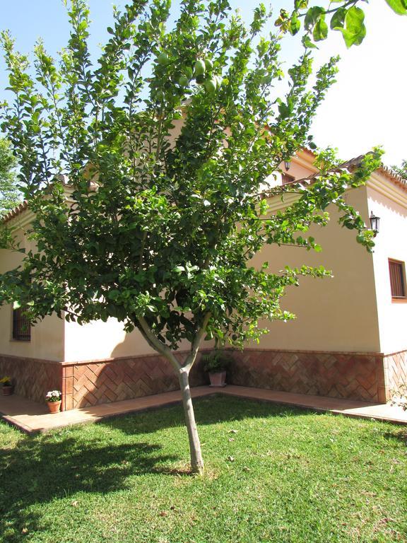 Casa Rural Oregano Carmona  Exterior foto