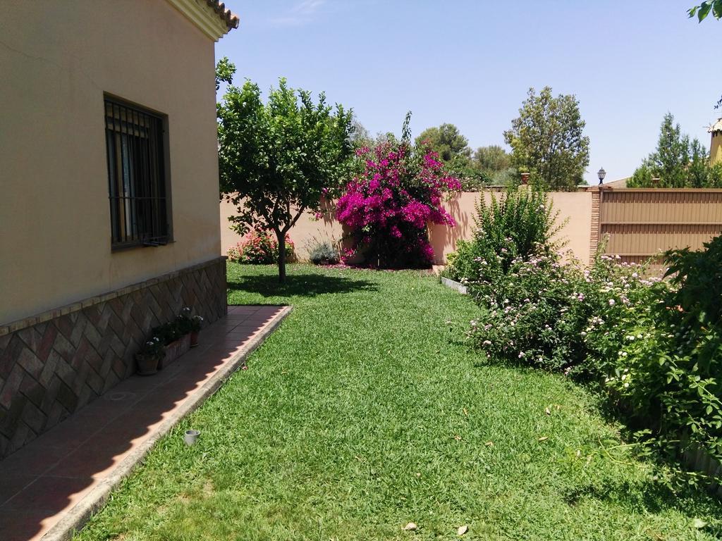 Casa Rural Oregano Villa Carmona  Exterior foto